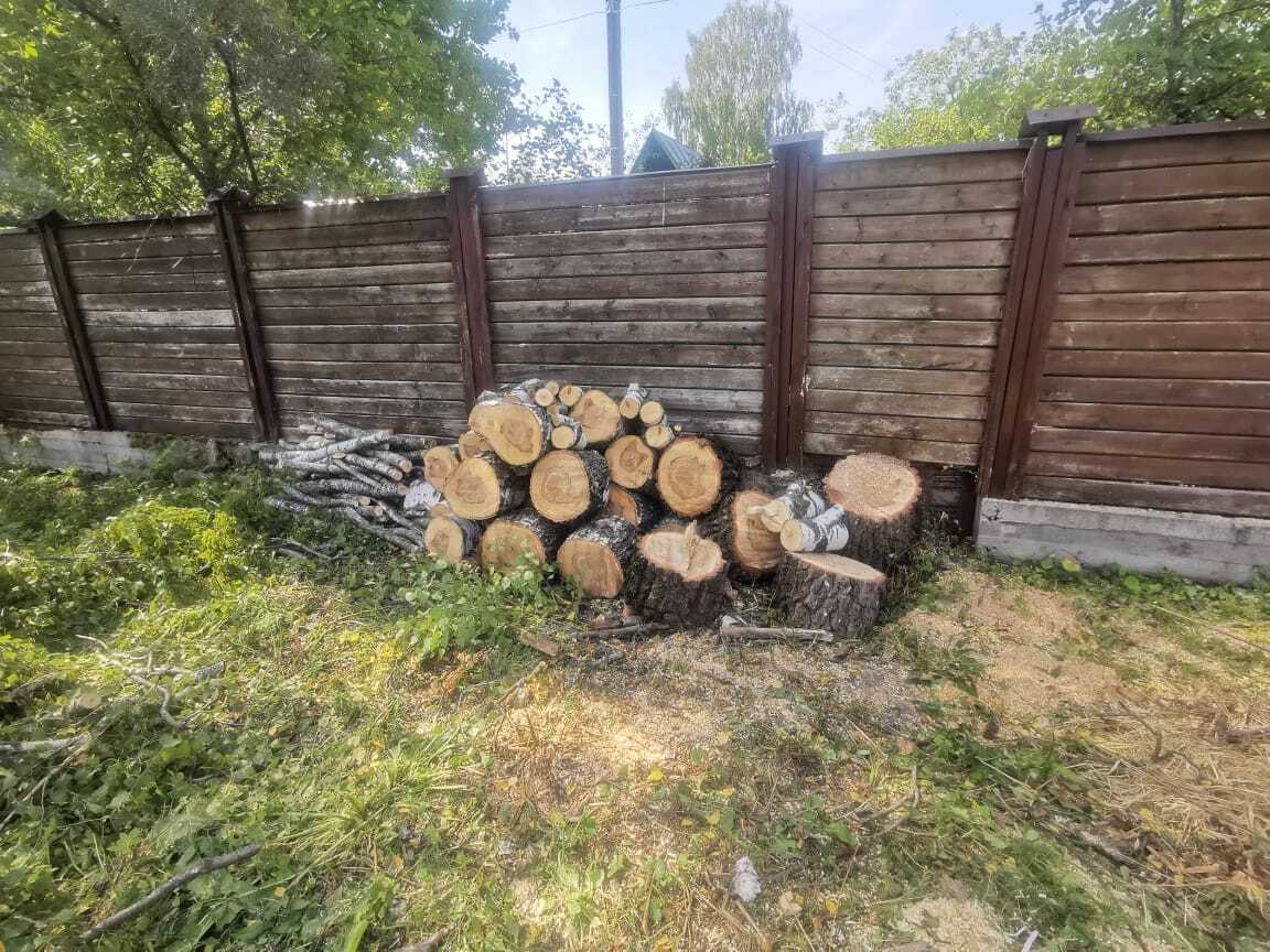 Распиленное и сложенное дерево Спил деревьев на дачных участка