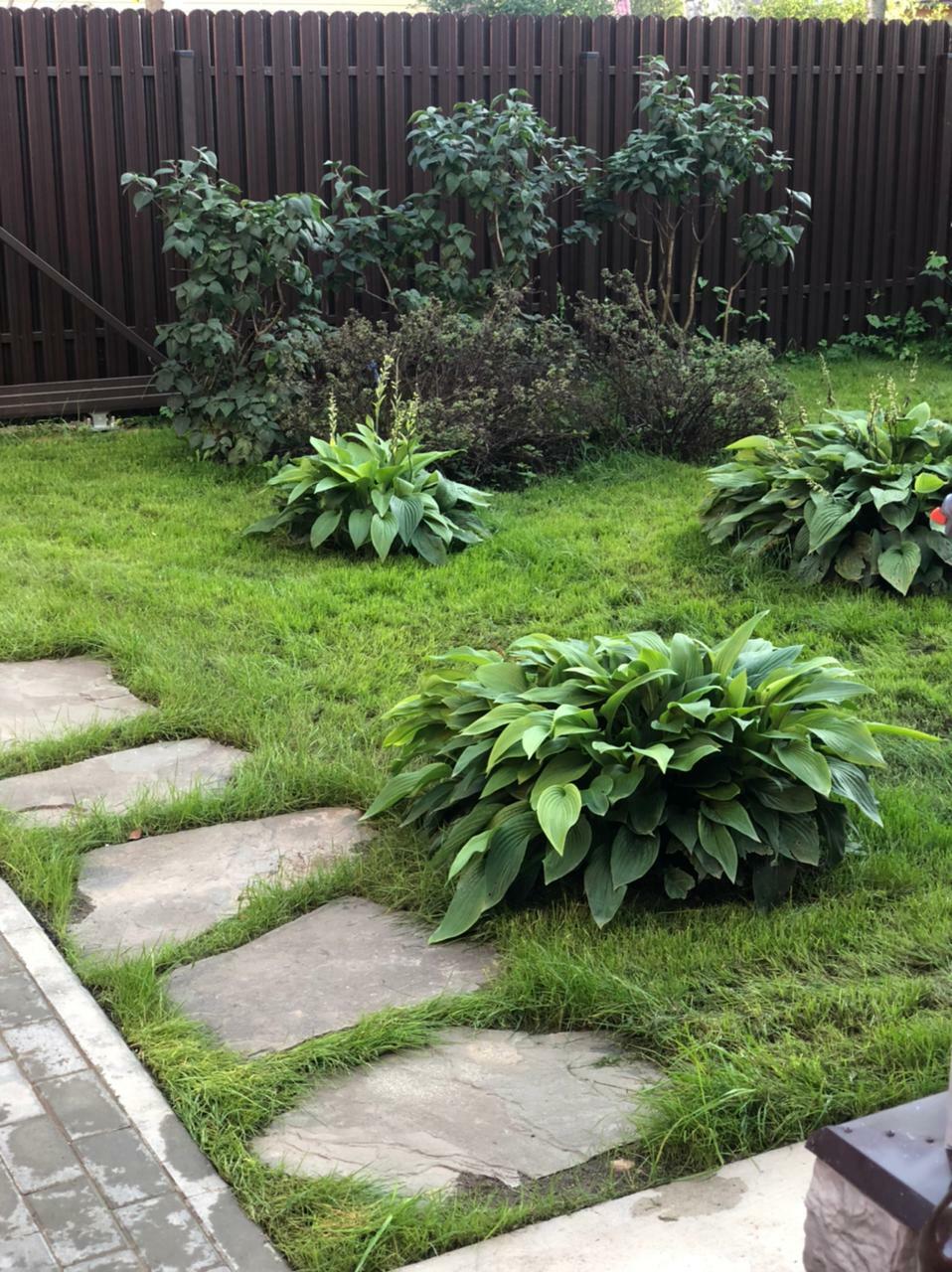 облагораживание земельного участка